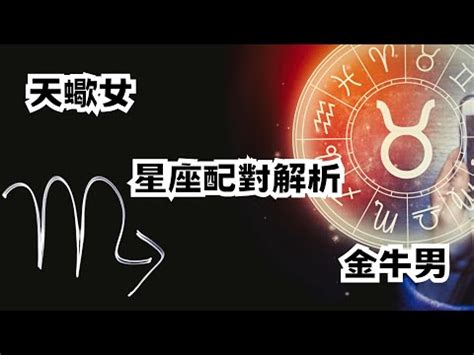 關係配對|超準十二星座配對｜2024最新愛情配對分析查詢｜天天星